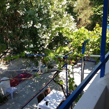 Deniz Yildizi Bed & Breakfast Fethiye Eksteriør bilde